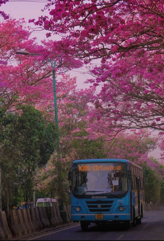 Bengaluru